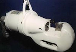 Vale Square Cut Shear